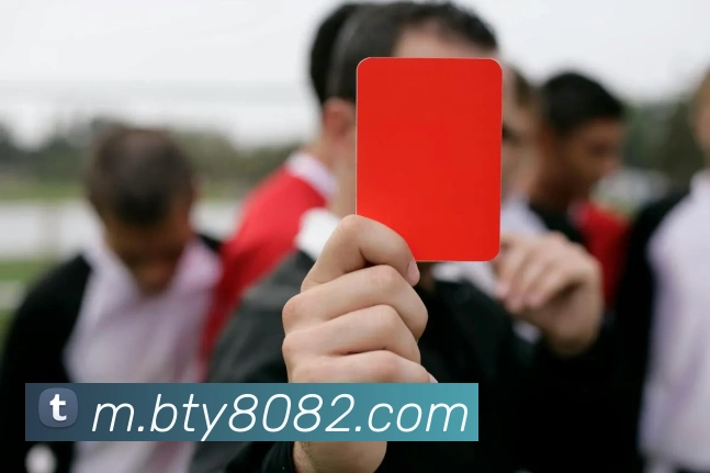 B体育平台生态图